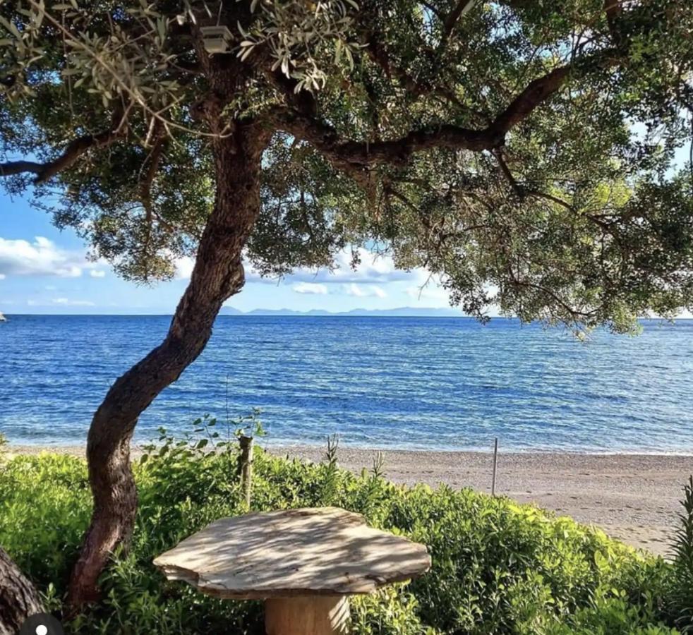 Dadya Villa 1 - Villa With Private Pool - 750M Distance To The Beach Datça Zewnętrze zdjęcie
